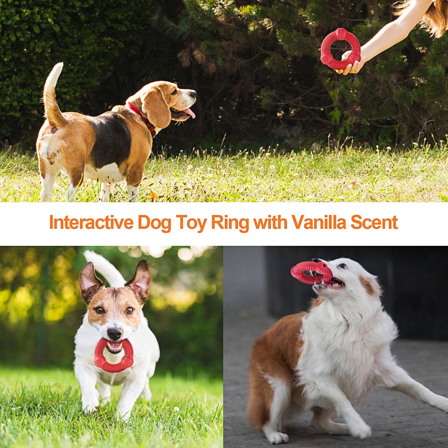 Dog Chew Toys, Dog Toys for Aggressive Chewers Large Breed, Multifunctional Teeth Cleaning and Gum Massage, Tough Dog Toys with Natural Rubber for Large and Medium Small Dog